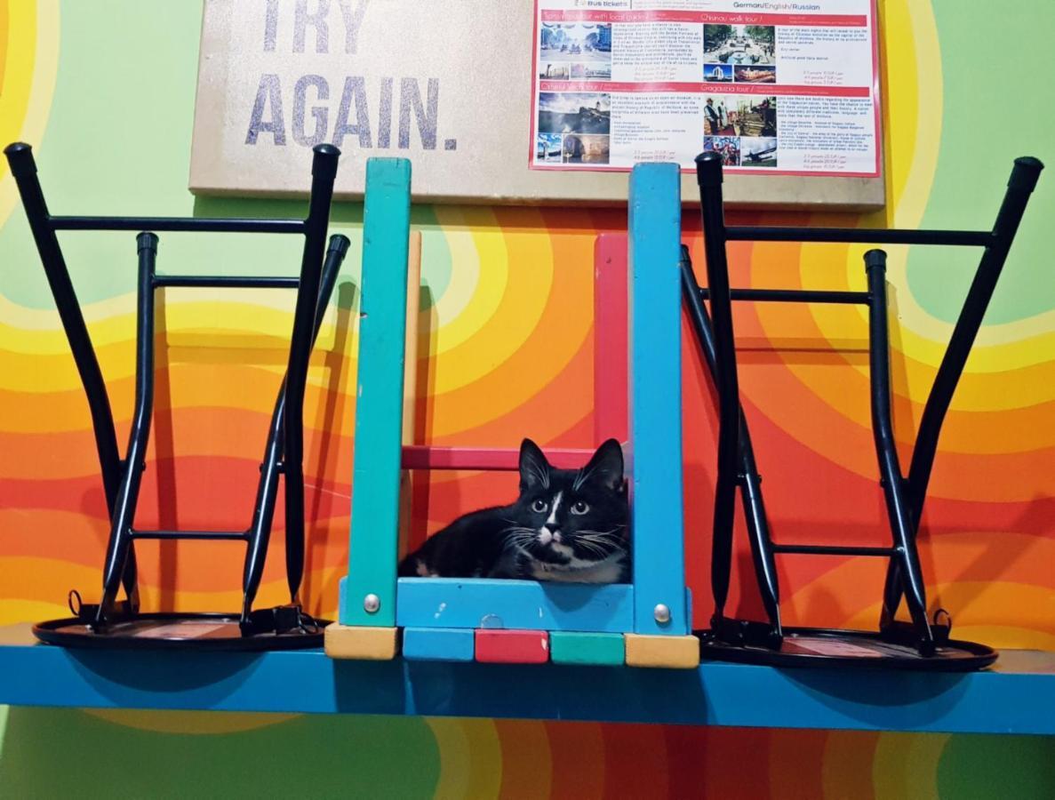 Tapok Hostel Kişinev Dış mekan fotoğraf